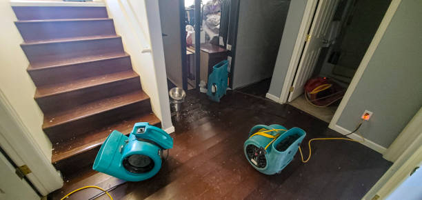 Best Commercial water damage restoration  in Huntington Park, CA