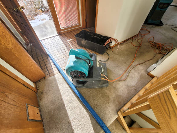 Best Water damage restoration near me  in Huntington Park, CA