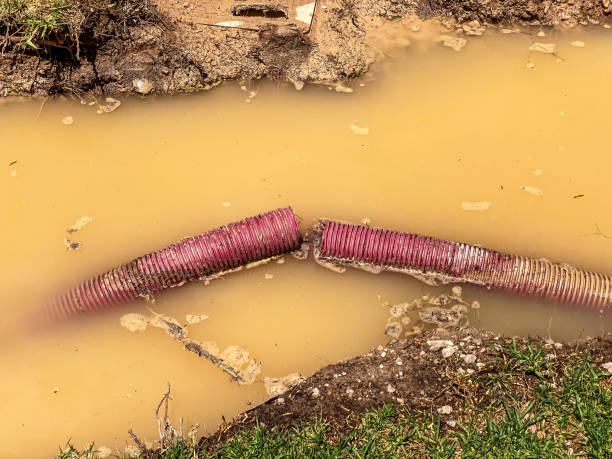 Best Residential water damage restoration  in Huntington Park, CA